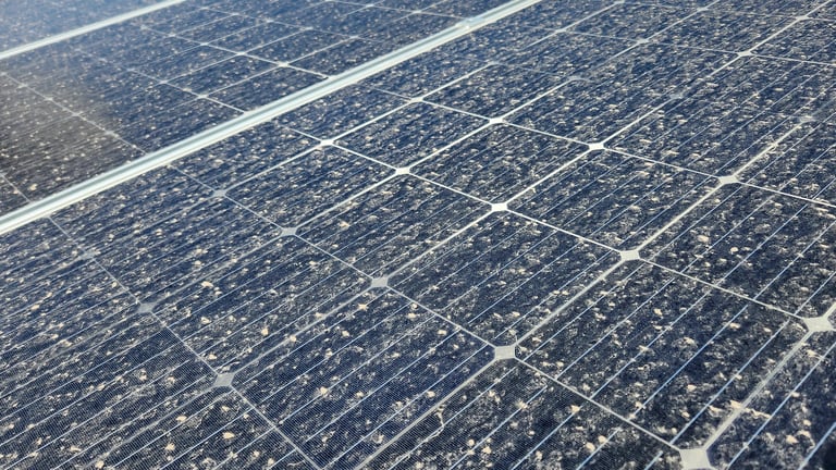 Solar panel cleaning service