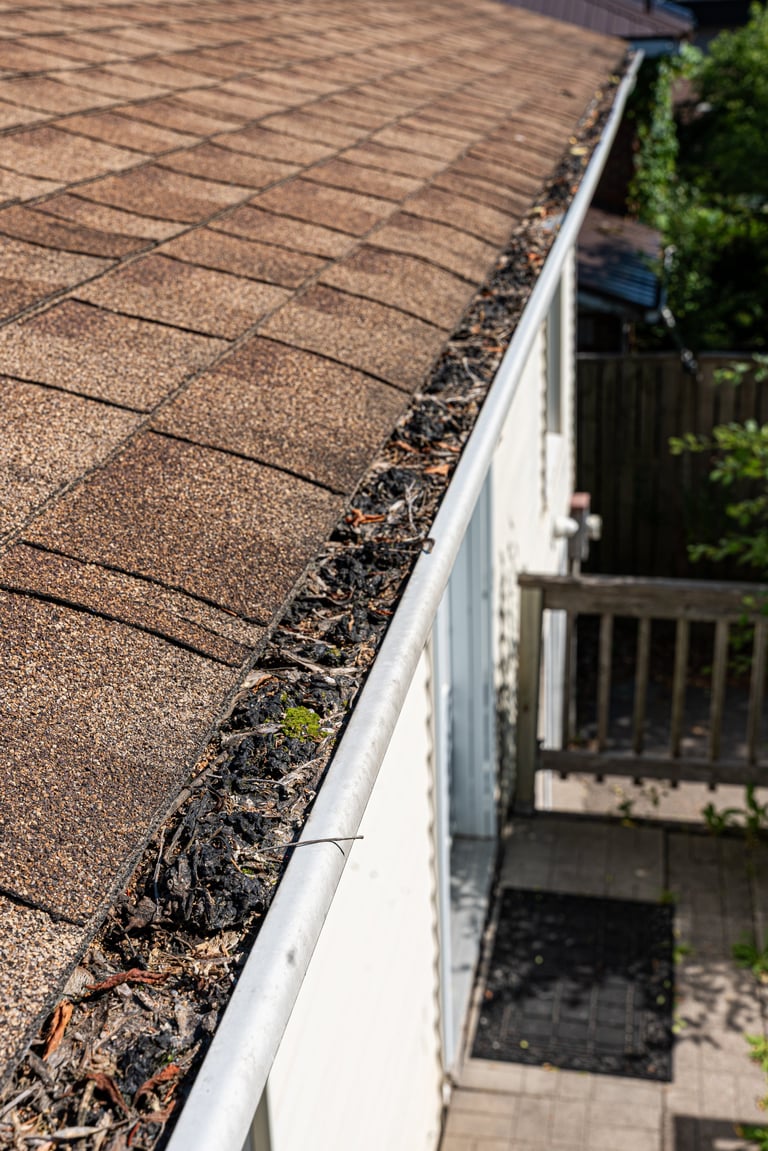 Close-up of residential roof gutter filled with debris and leaves next to brown asphalt shingles